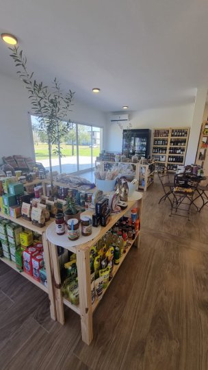 Terrenos - Otra Ciudad - Venta