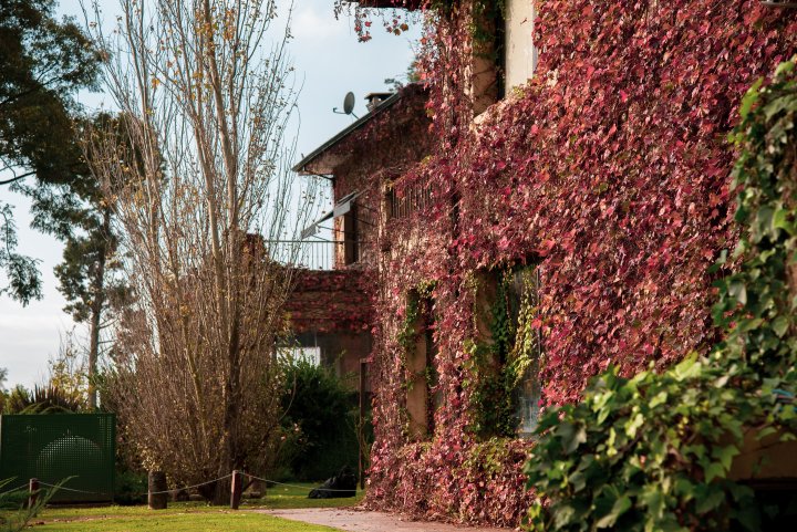 Terrenos - Otra Ciudad - Venta