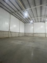 Galpones / Depósitos - Alvear - Alquiler