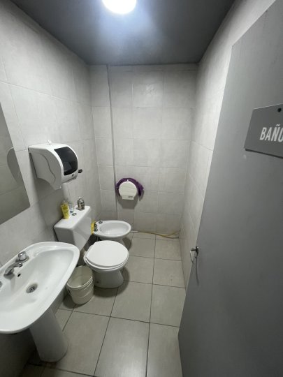 Galpones / Depósitos - Alvear - Alquiler