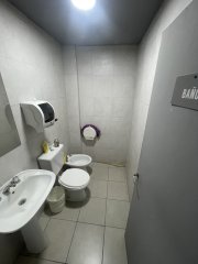 Galpones / Depósitos - Alvear - Alquiler