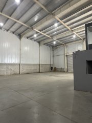 Galpones / Depósitos - Alvear - Alquiler