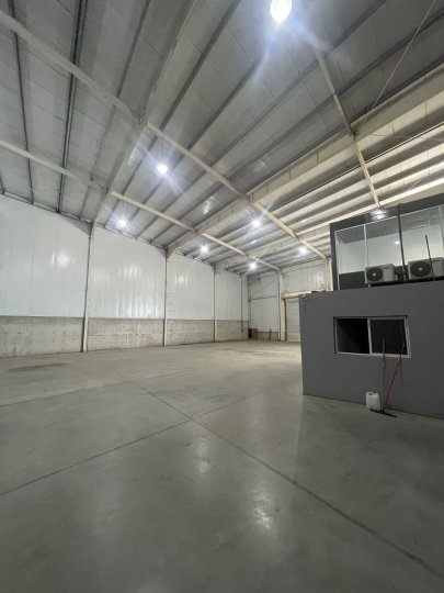 Galpones / Depósitos - Alvear - Alquiler