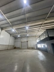 Galpones / Depósitos - Alvear - Alquiler