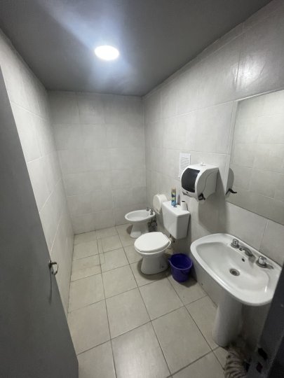 Galpones / Depósitos - Alvear - Alquiler