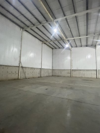 Galpones / Depósitos - Alvear - Alquiler