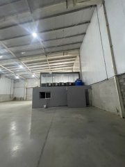 Galpones / Depósitos - Alvear - Alquiler