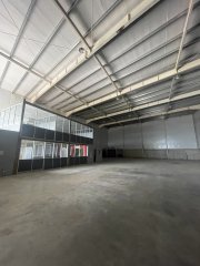 Galpones / Depósitos - Alvear - Alquiler