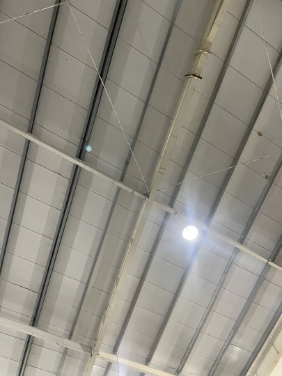 Galpones / Depósitos - Alvear - Alquiler