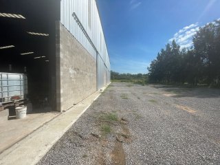 Galpones / Depósitos - Perez -  Alquiler