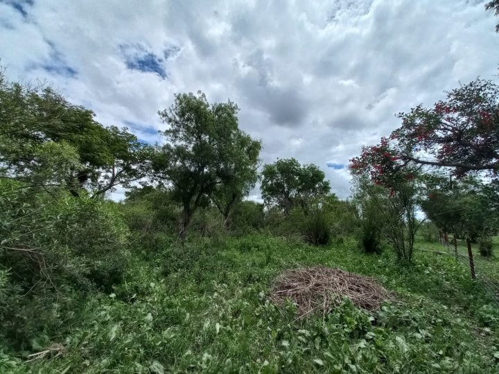 Terrenos - Rosario - Venta