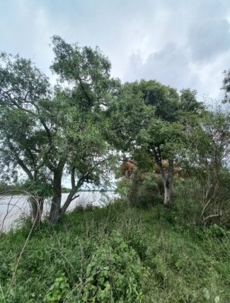 Terrenos - Rosario - Venta