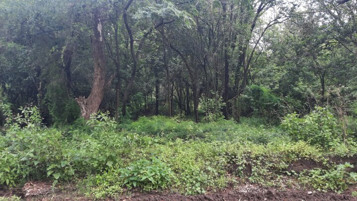 VENDO LOTE EN CABANA UNQUILLO