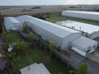 Galpones / Depósitos - Alvear -  Alquiler