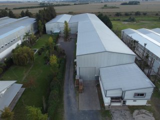 Galpones / Depósitos - Alvear -  Alquiler