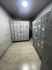 Galpones / Depósitos - Alvear -  Alquiler