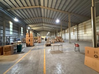 Galpones / Depósitos - Alvear -  Alquiler