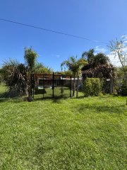 Casas - Iriondo - Venta