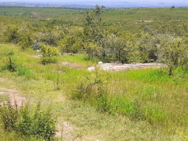 BIALET MASSE 31,5 HA