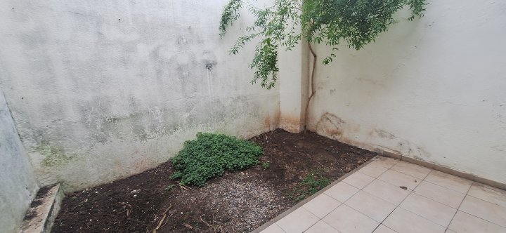 Departamentos - Rosario -  Alquiler