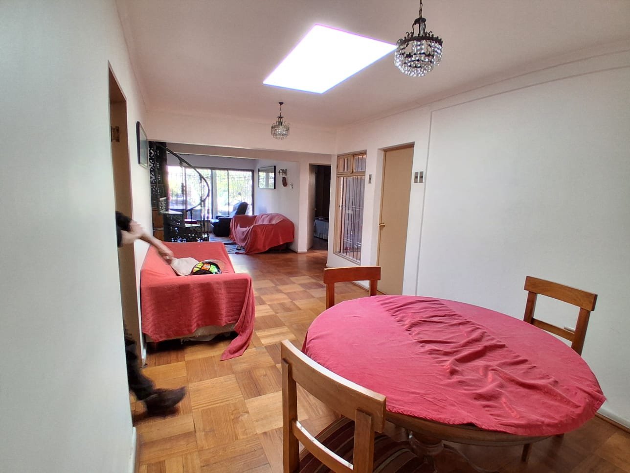 Foto 5