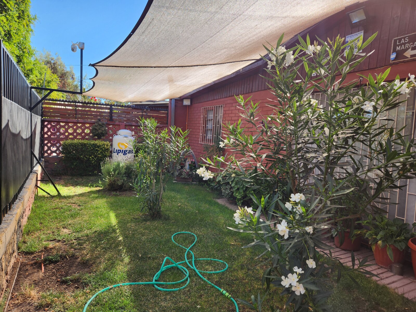 Foto 5