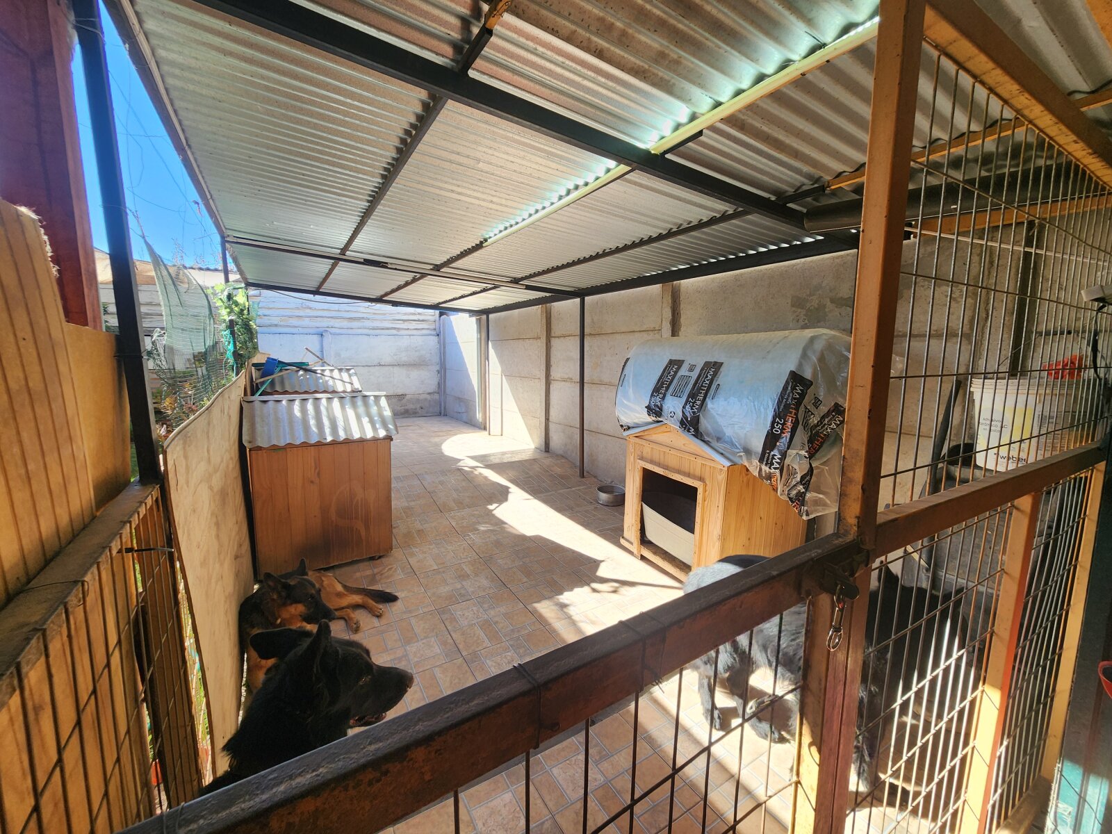 Foto 3