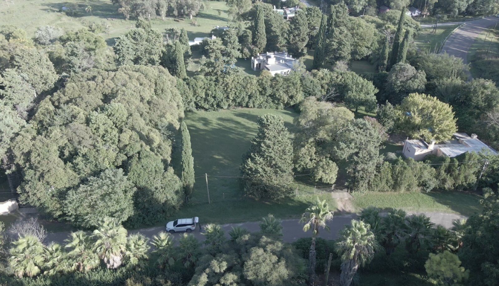 Terreno COMPLETAMENTE arbolado, 1.000 m2 en zona quintas - UNICO — foto 4