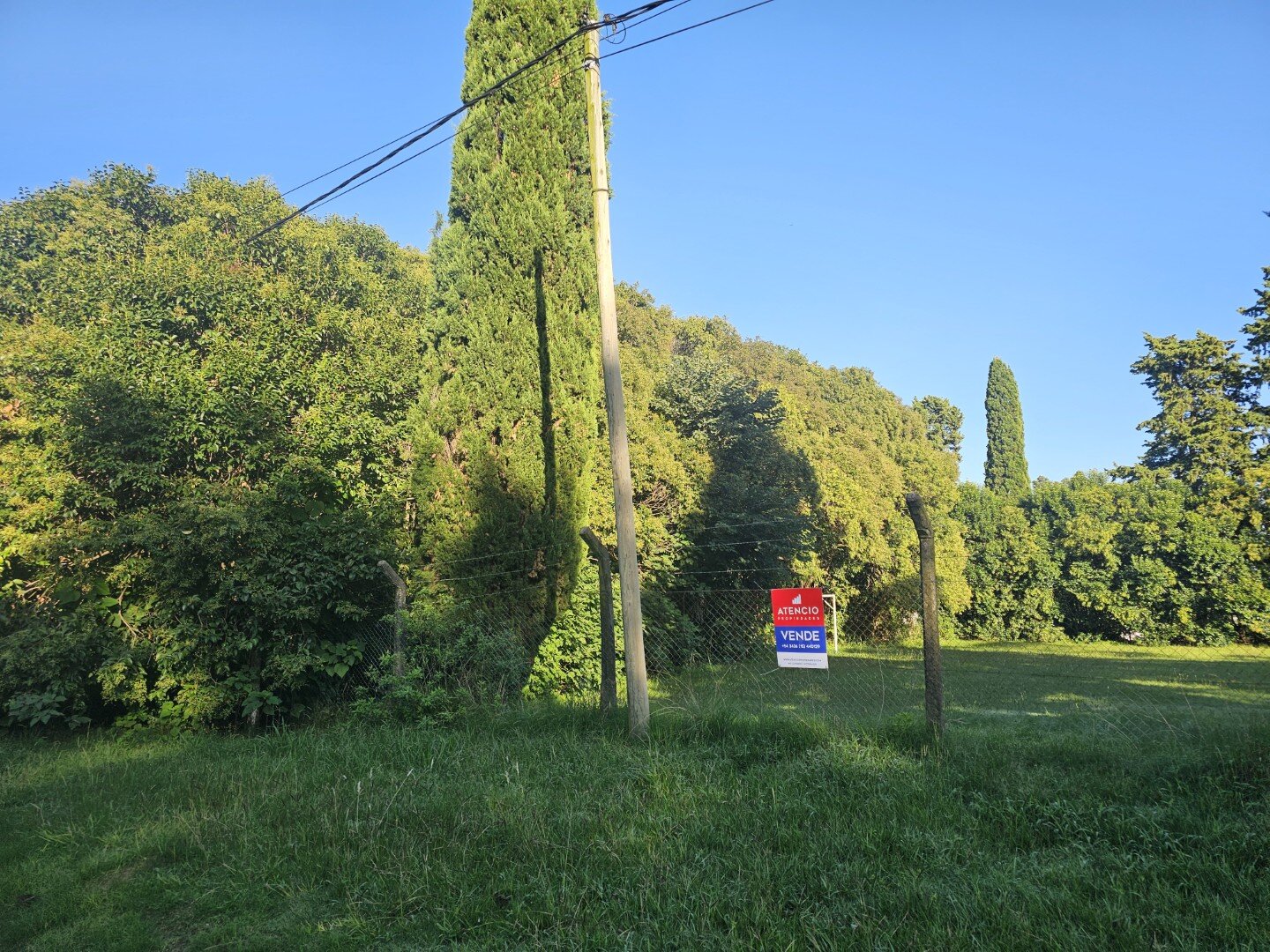 Terreno COMPLETAMENTE arbolado, 1.000 m2 en zona quintas - UNICO