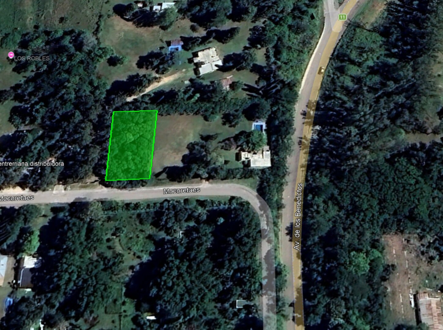 Terreno COMPLETAMENTE arbolado, 1.000 m2 en zona quintas - UNICO — foto 6