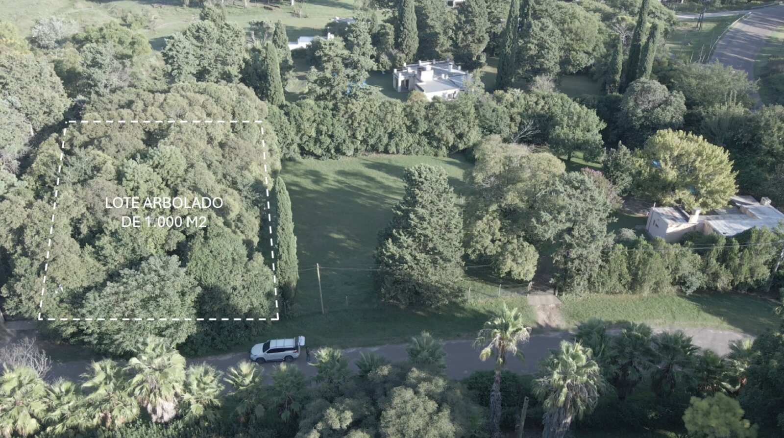 Terreno COMPLETAMENTE arbolado, 1.000 m2 en zona quintas - UNICO — foto 2