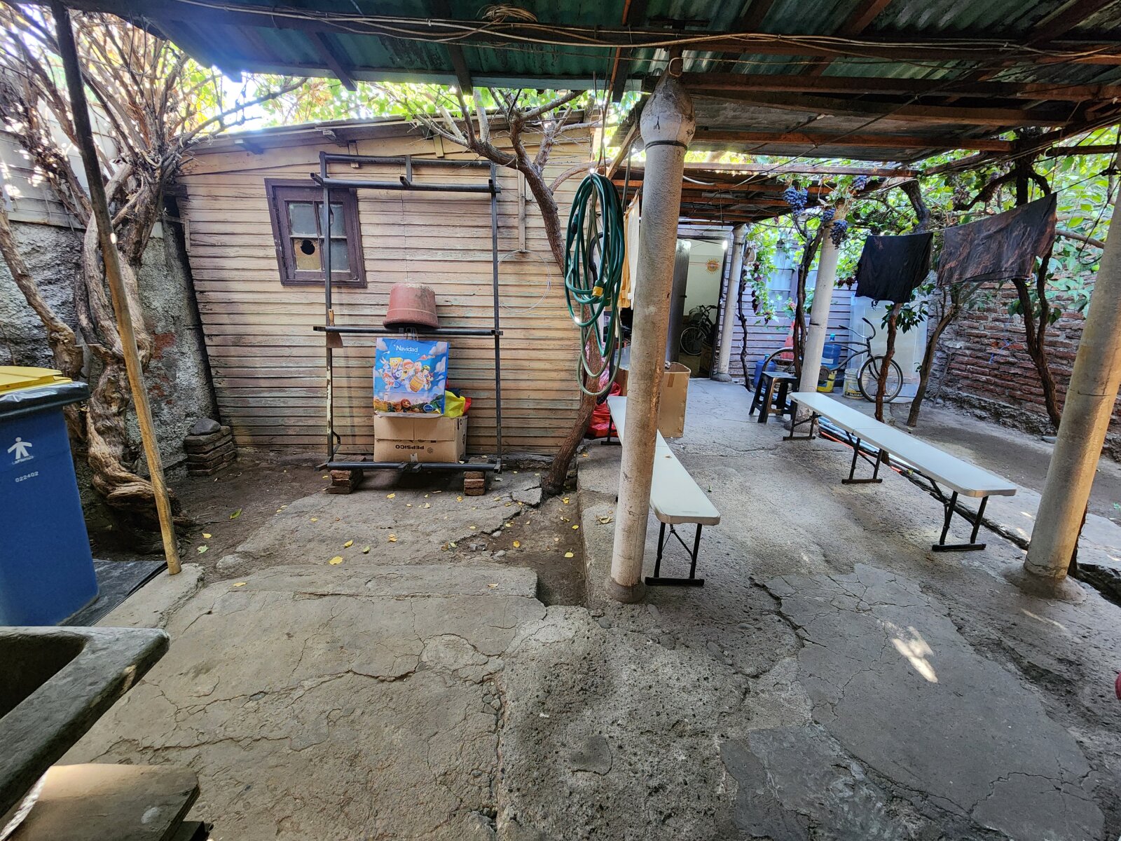 Foto 12