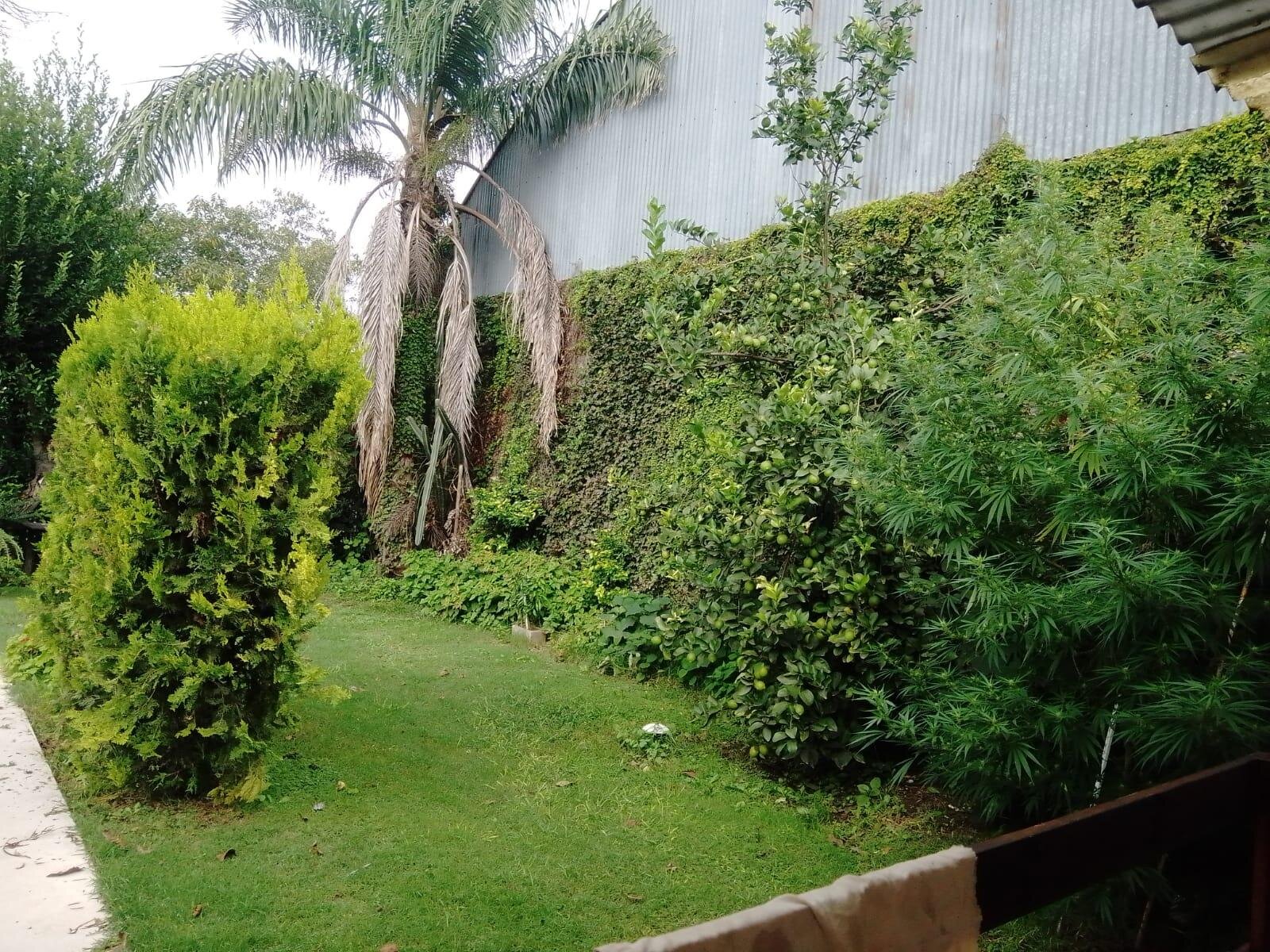 Andino: Av. San Martín 544 Casa centrica 2 dormitorios con piscina, Santa Fe, Argentina — foto 15