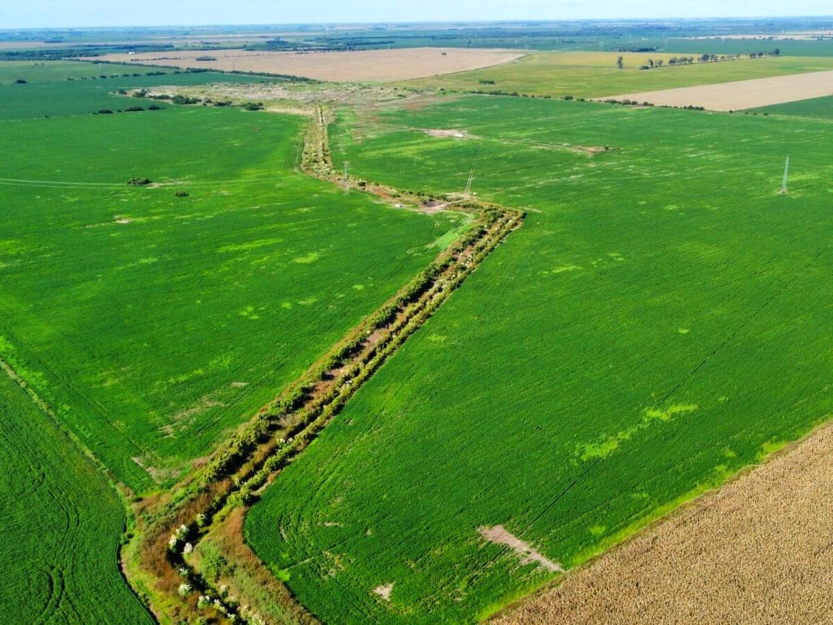 BALLESTEROS 130 HA - Imagen 2