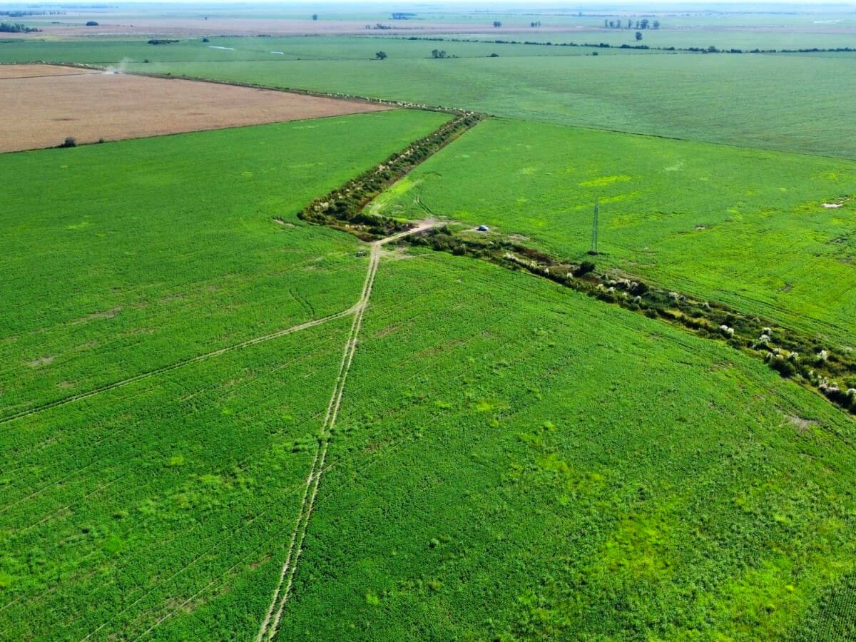 BALLESTEROS 130 HA - Imagen 3
