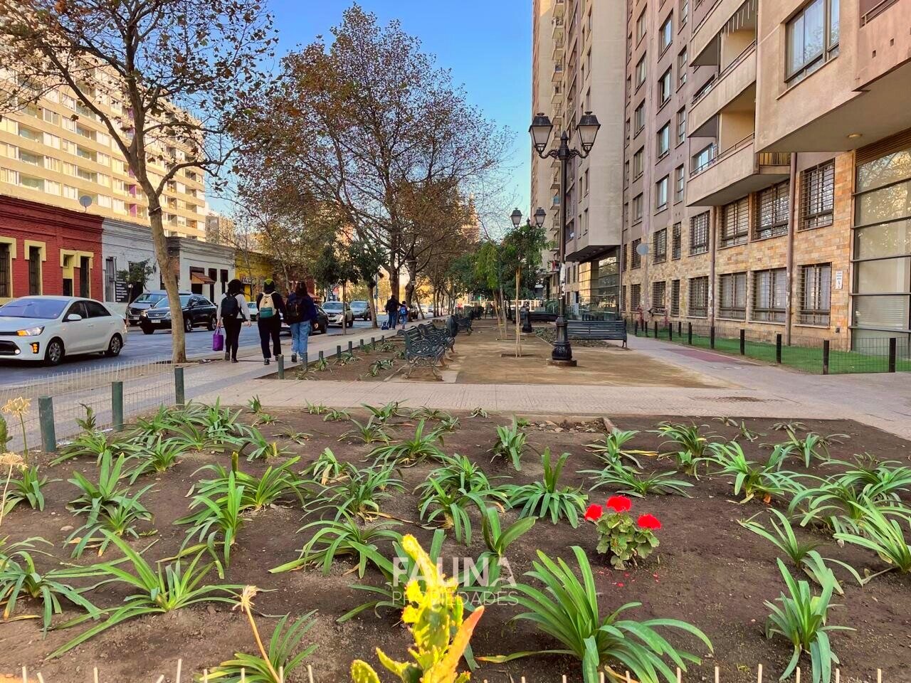 Foto 15