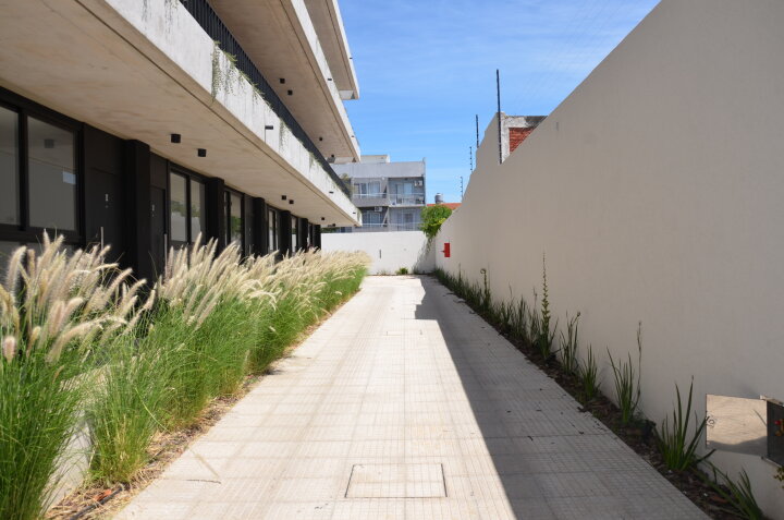 Pasillo lateral con canteros a lo largo del complejo
