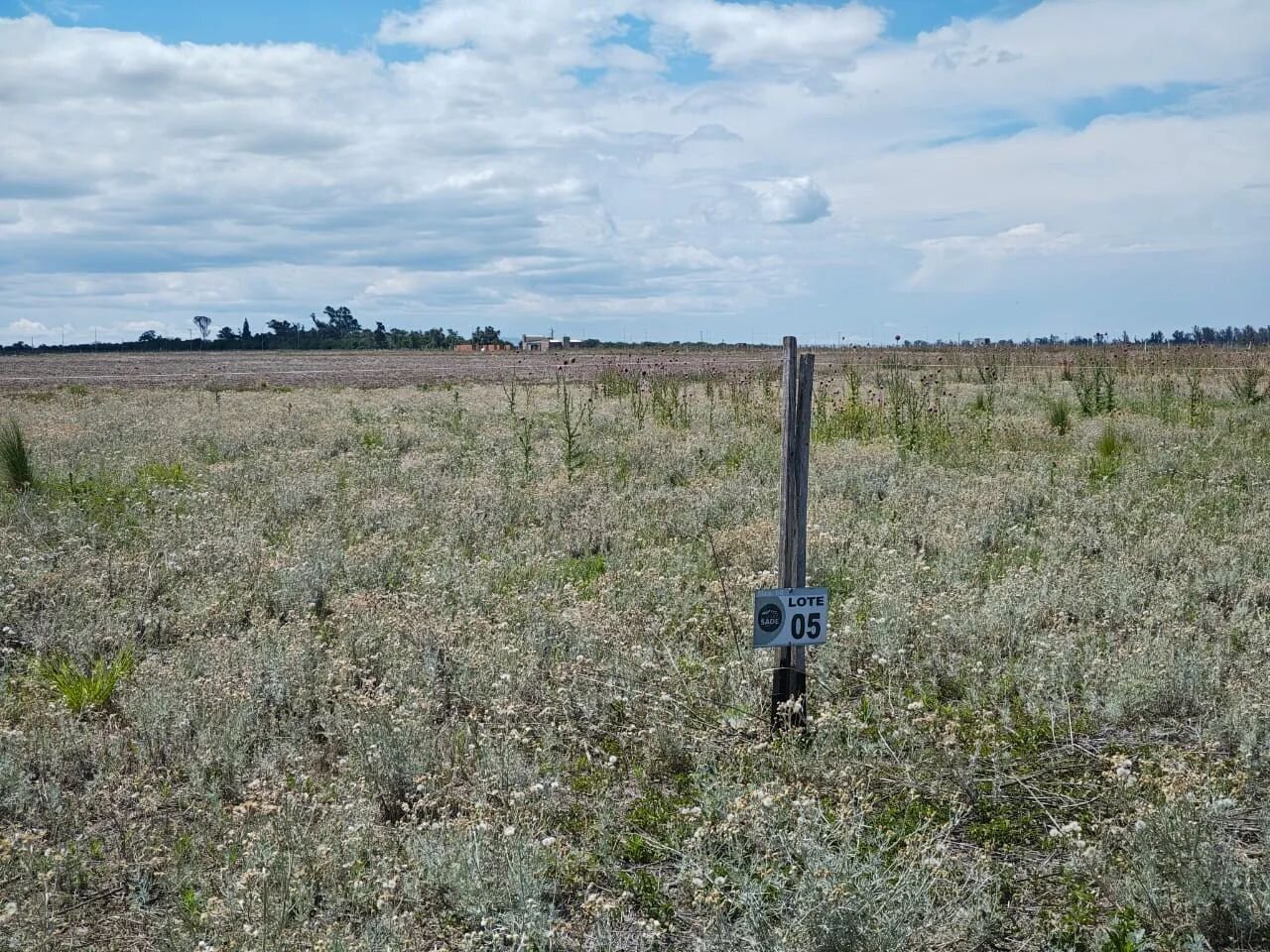 VENTA LOTE PREMIUN 1230 M - SALIDA DIRECTA A RUTA 5 EXCELENTE ENTORNO — foto 3