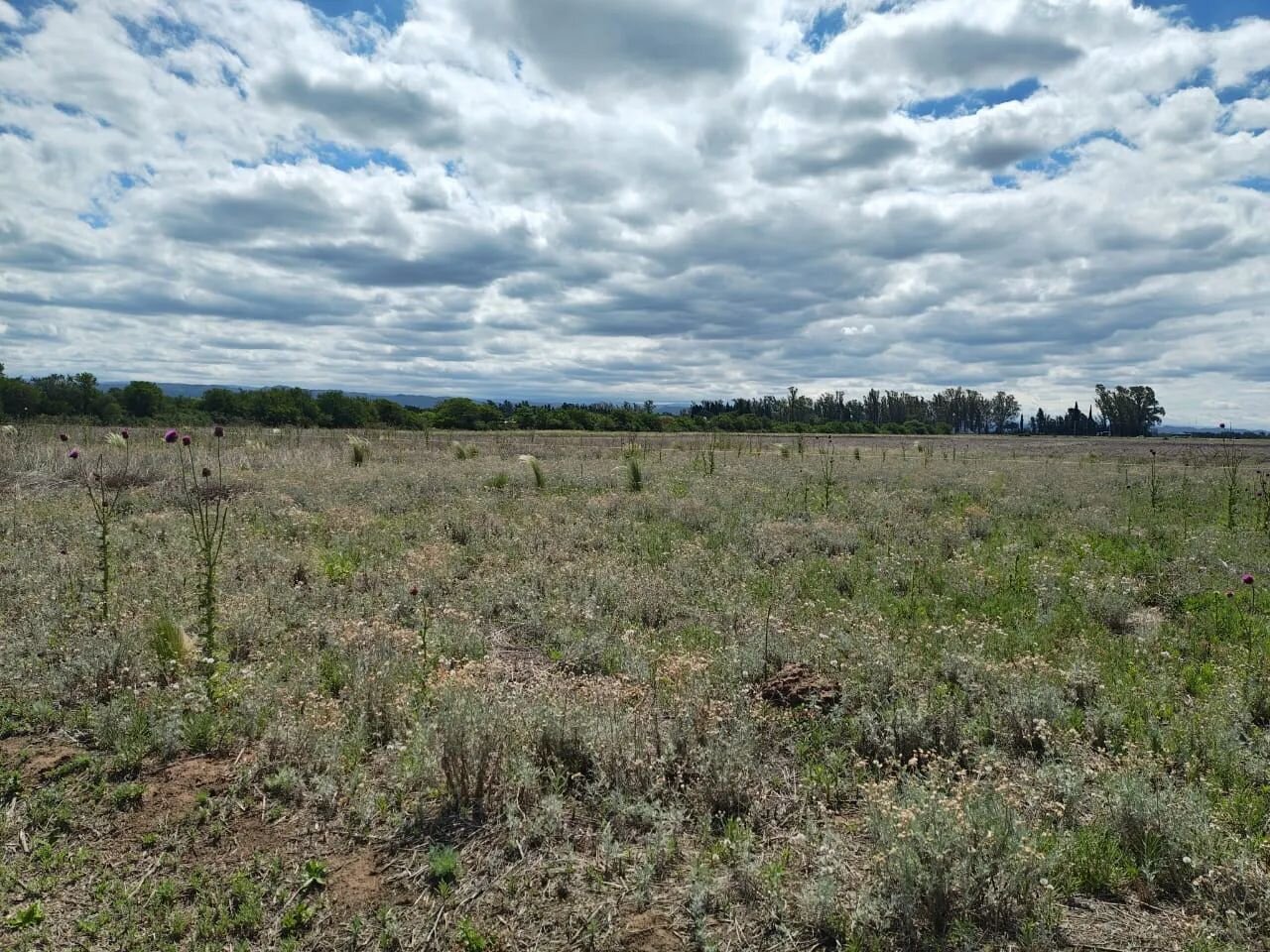 VENTA LOTE PREMIUN 1230 M - SALIDA DIRECTA A RUTA 5 EXCELENTE ENTORNO — foto 9