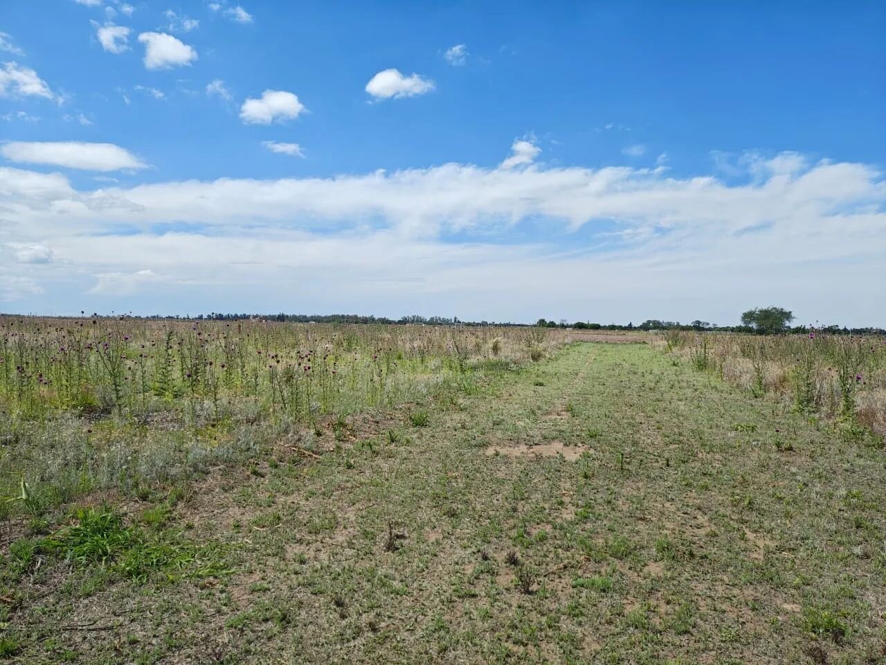VENTA LOTE PREMIUN 1230 M - SALIDA DIRECTA A RUTA 5 EXCELENTE ENTORNO — foto 8
