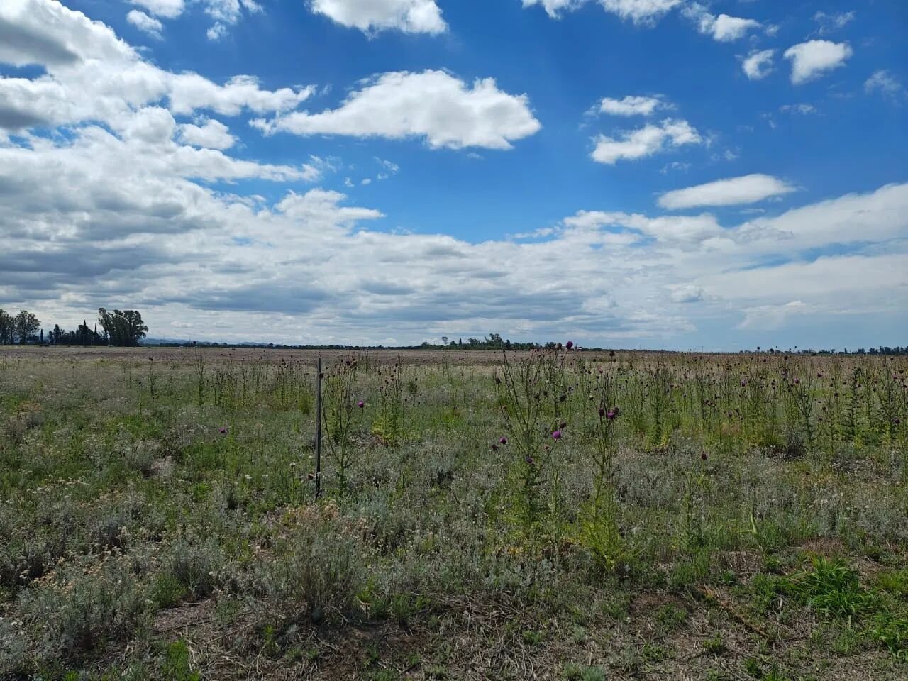 VENTA LOTE PREMIUN 1230 M - SALIDA DIRECTA A RUTA 5 EXCELENTE ENTORNO — foto 5