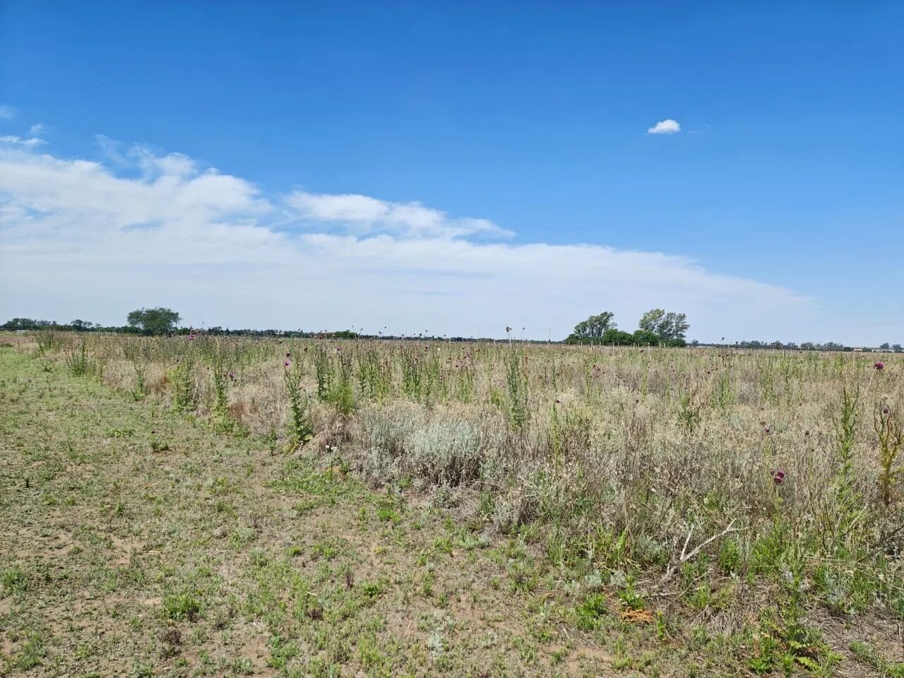 VENTA LOTE PREMIUN 1230 M - SALIDA DIRECTA A RUTA 5 EXCELENTE ENTORNO — foto 7