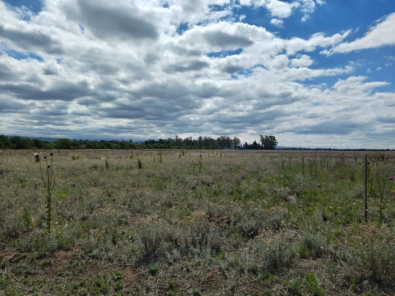 VENTA LOTE PREMIUN 1230 M - SALIDA DIRECTA A RUTA 5 EXCELENTE ENTORNO — foto 6