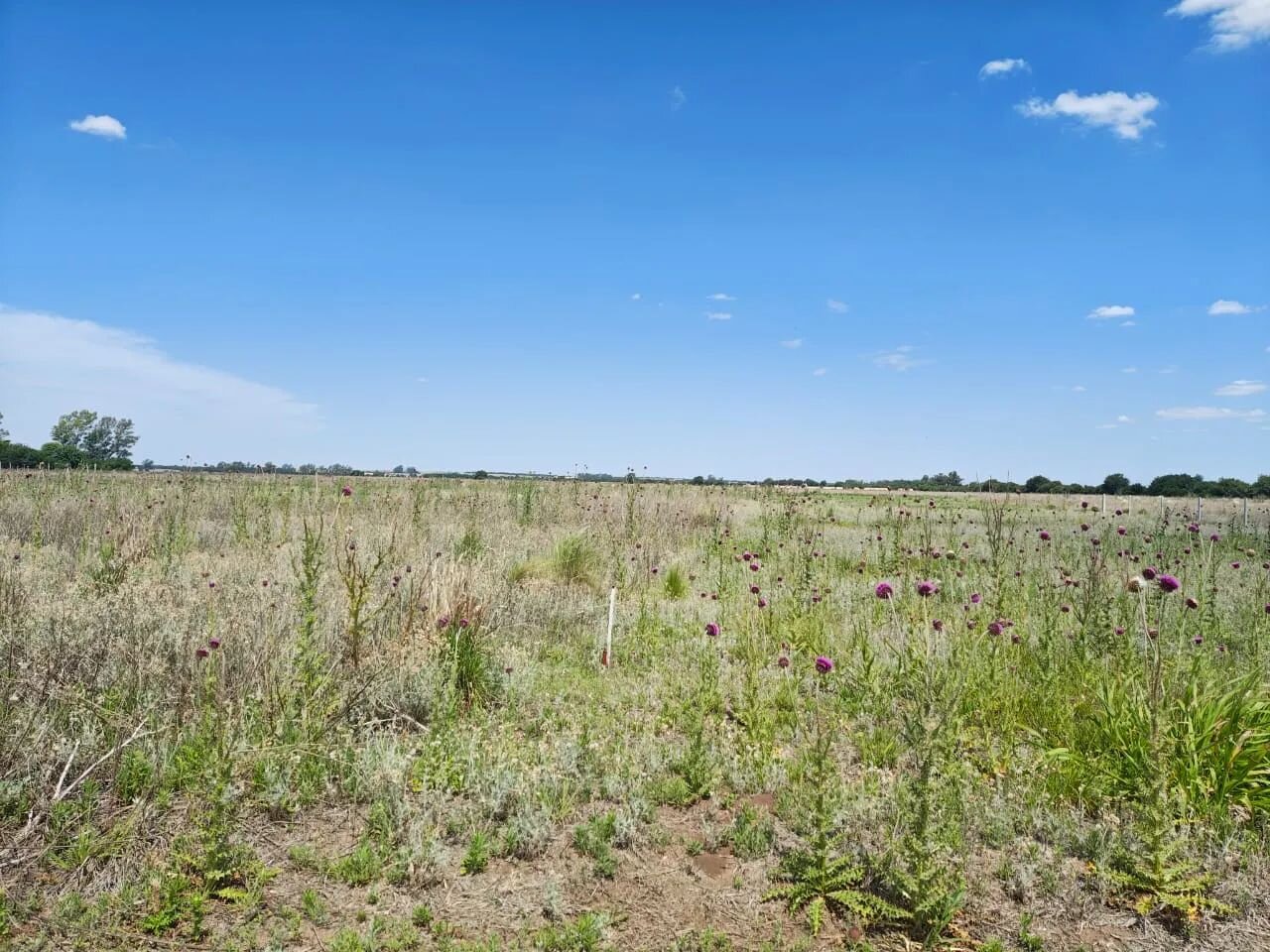 VENTA LOTE PREMIUN 1230 M - SALIDA DIRECTA A RUTA 5 EXCELENTE ENTORNO