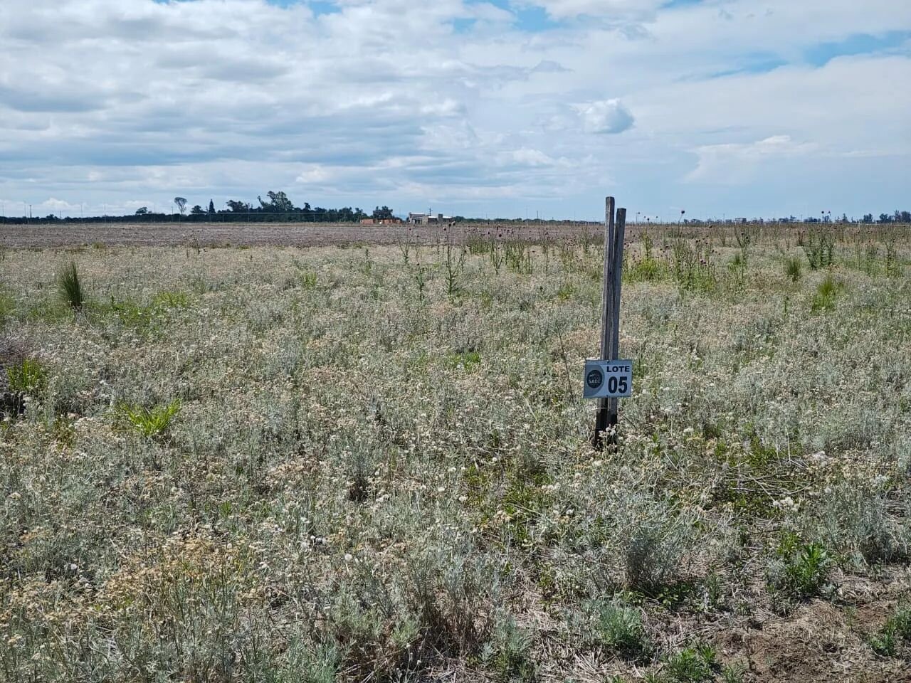 VENTA LOTE PREMIUN 1230 M - SALIDA DIRECTA A RUTA 5 EXCELENTE ENTORNO — foto 4