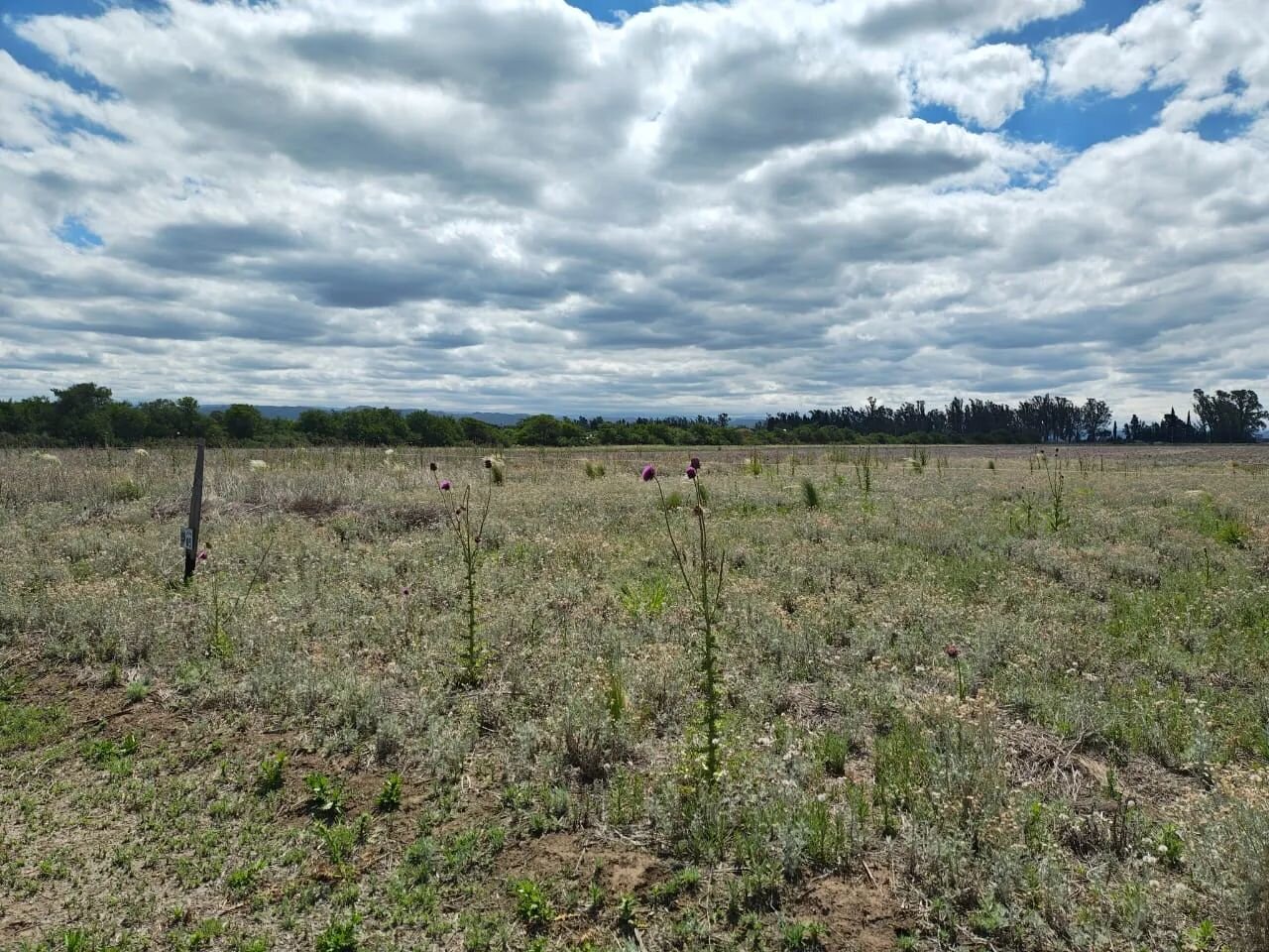 VENTA LOTE PREMIUN 1230 M - SALIDA DIRECTA A RUTA 5 EXCELENTE ENTORNO — foto 2