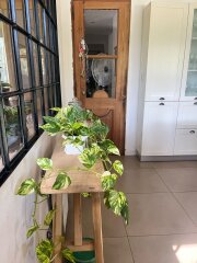 Casas - Funes - Venta
