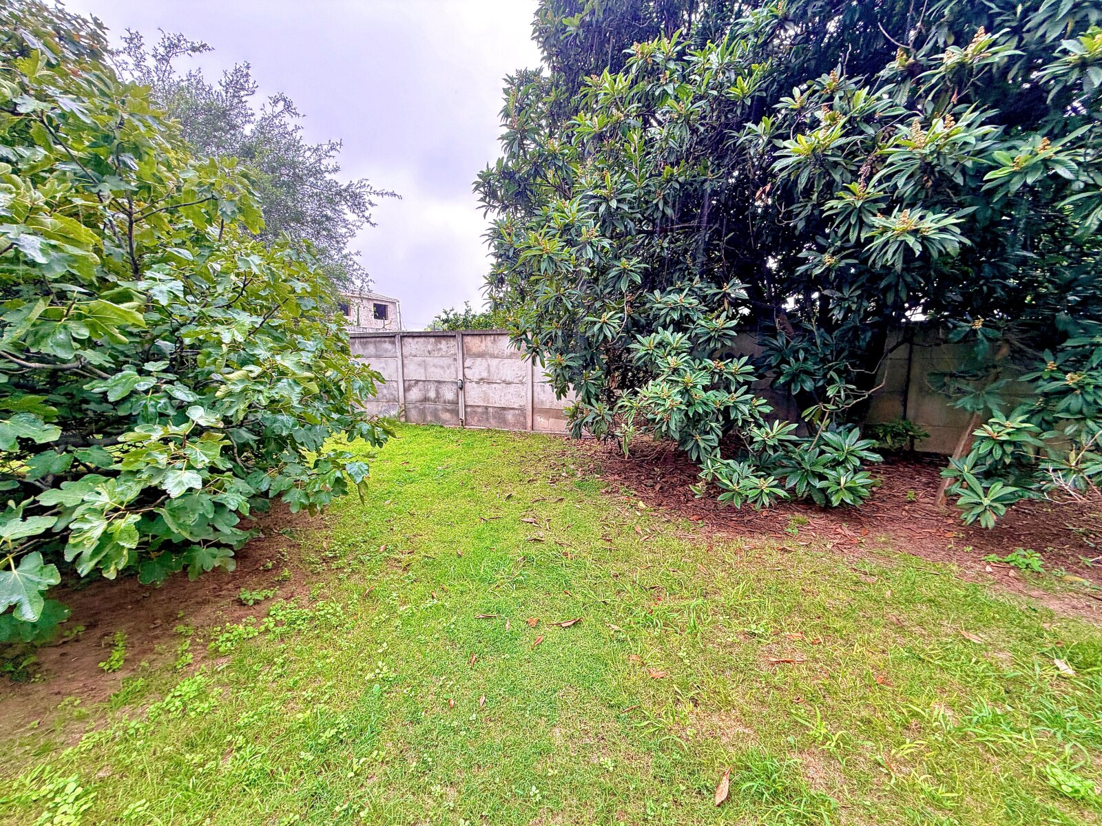 Casona en venta con gran terreno – Ideal desarrollo comercial o institucional | Córdoba Capital - 31