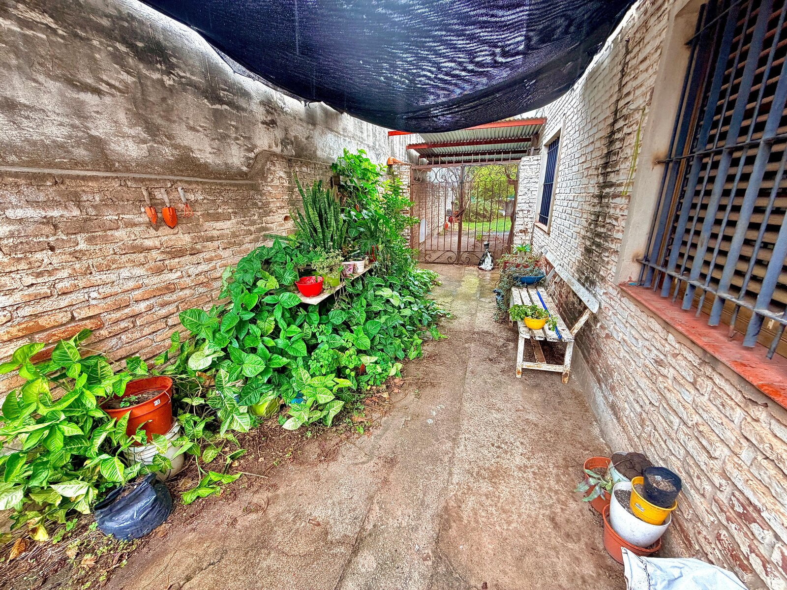Casona en venta con gran terreno – Ideal desarrollo comercial o institucional | Córdoba Capital - 29