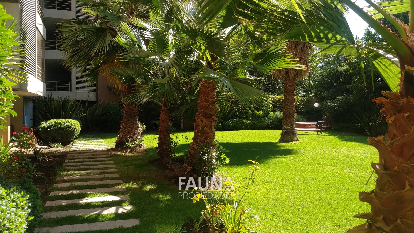 Av. Macul – Av. Rodrigo de Araya – Municipalidad de Macul